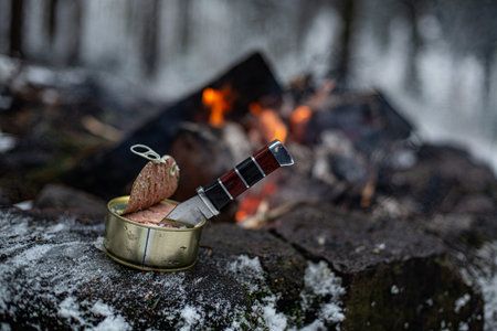 A can of canned food with a hunting knife on a tree trunk by the fire.