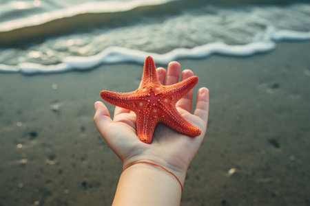 Child holds a red starfish in their handの写真素材