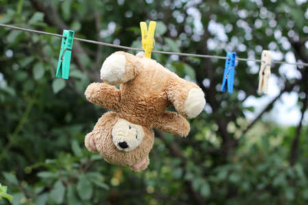 Bear drying