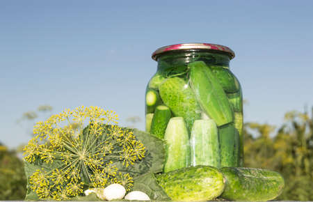 cucumbers in a jar canned, Pickled cucumberの写真素材