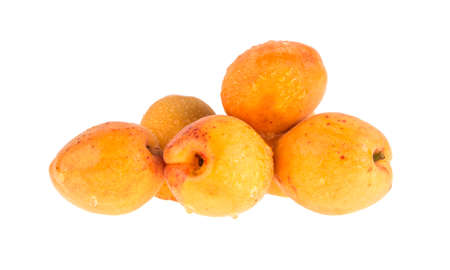 Apricot on white backgroundの写真素材