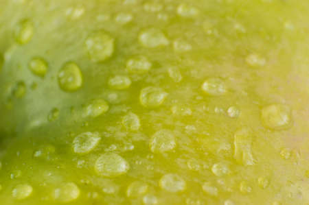 background green wet apple close-upの写真素材