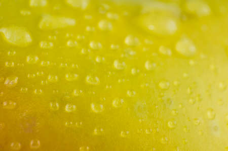 background green wet apple close-upの写真素材