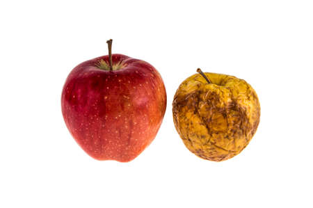 fresh and rotten apples on isolated white backgroundの写真素材