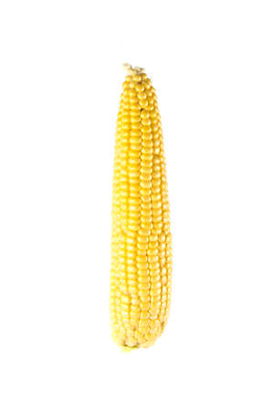 corn on isolated white backgroundの写真素材
