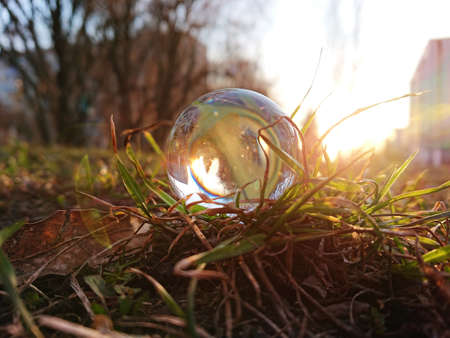 glass ball on green grass background