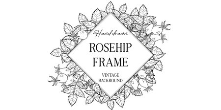 Hand drawn autumn botanical frame with rosehip leaves. Vector illustration in sketch style isolated on white. Realistic rosehip design element. Space for textのイラスト素材