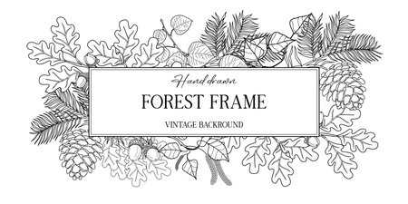 Hand drawn autumn botanical frame with falling leaves. Vector illustration in sketch style isolated on white. Realistic forest design element. Space for textのイラスト素材