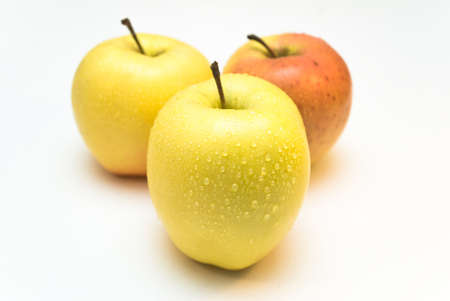 apples on the  white backgroundの写真素材