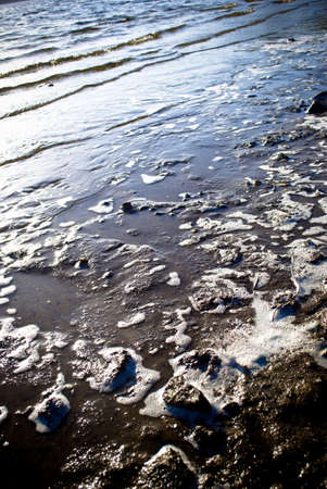 bank of the  river