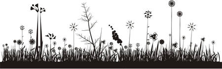 Floral collectionのイラスト素材