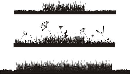 Floral elementのイラスト素材