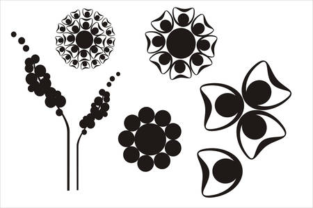 Floral collectionのイラスト素材