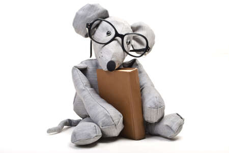 funny mouse with glasses reading a bookの写真素材