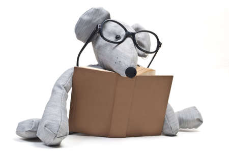 funny mouse with glasses reading a bookの写真素材