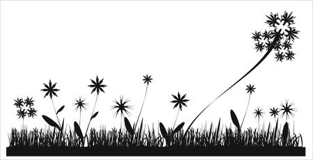 Floral collectionのイラスト素材