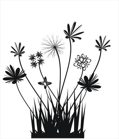 Floral collectionのイラスト素材