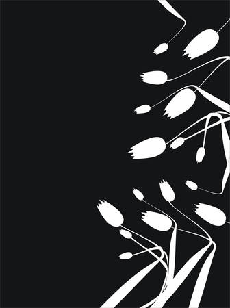 Floral collectionのイラスト素材
