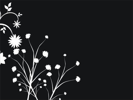 Floral collectionのイラスト素材