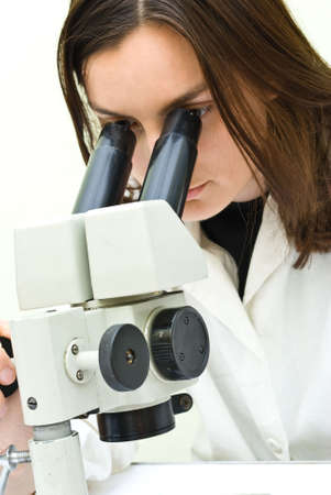 scientist working at the laboratoryの写真素材