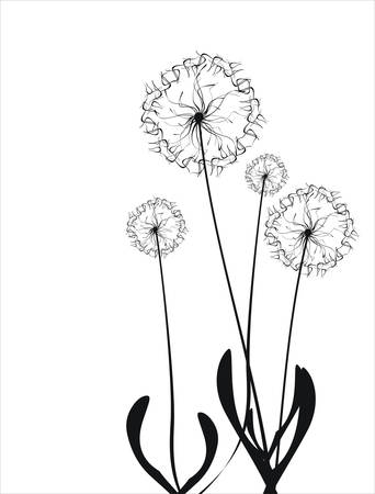 Floral collectionのイラスト素材