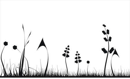 Floral collectionのイラスト素材