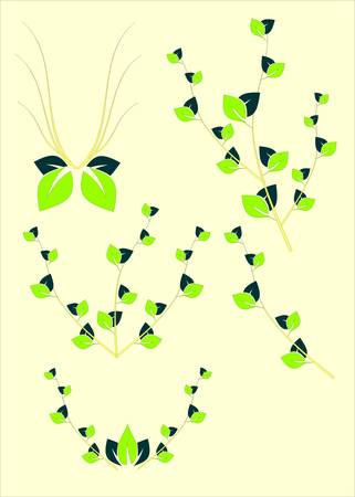 Floral cardのイラスト素材
