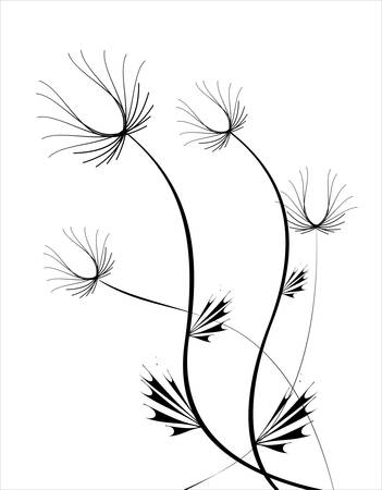 Floral cardのイラスト素材