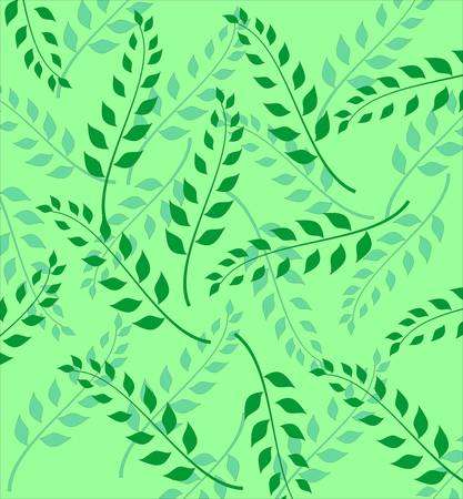 Floral cardのイラスト素材