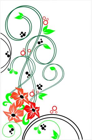 Floral collectionのイラスト素材