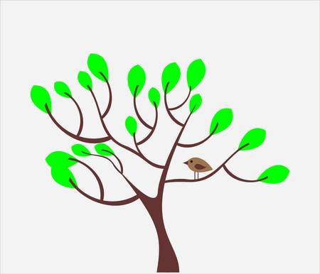   Floral collectionのイラスト素材