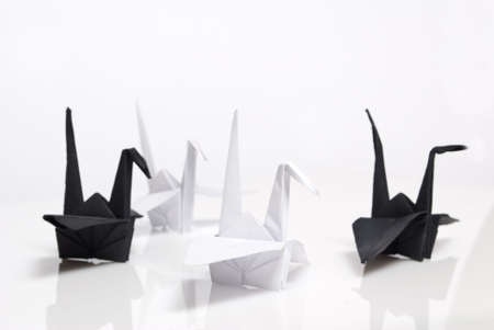  origami birds on a white backgroundの写真素材
