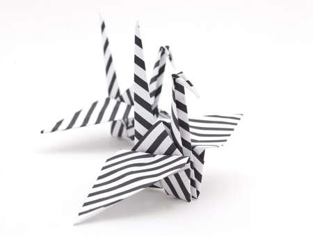  origami birds on a white backgroundの写真素材