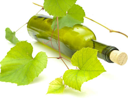 vine and bottle of wineの写真素材