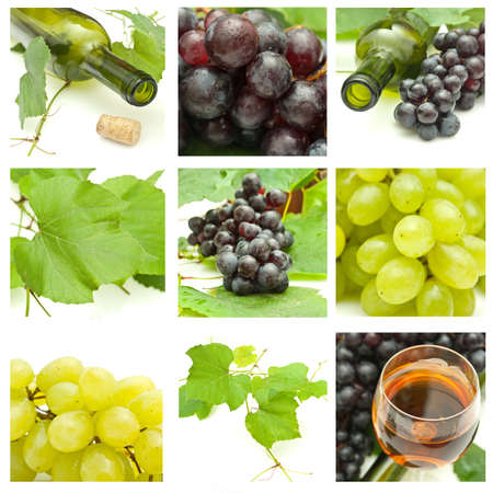Bunch of grapes on white backgroundの写真素材