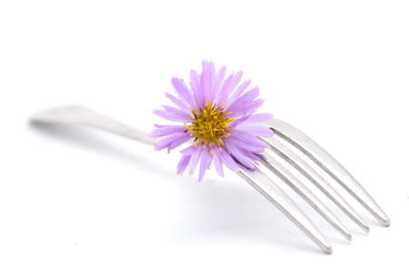 flower and fork isolated on a white backgroundの写真素材