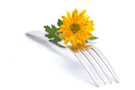 flower and fork isolated on a white backgroundの写真素材