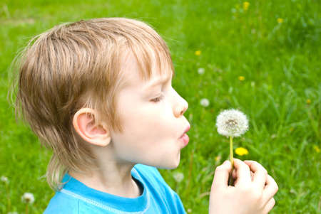 boy with dandelion outdoors at sunny summer dayの写真素材