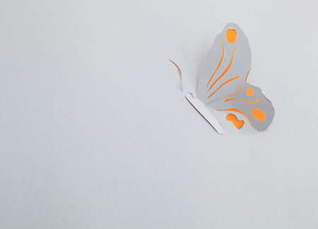 Butterfly origamiの写真素材