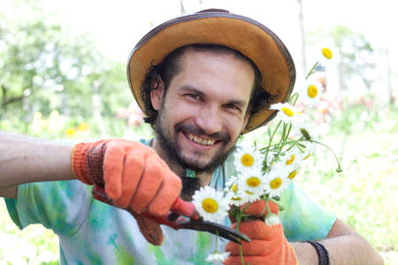 Man cutting the camomile bouquett in the gardenの写真素材