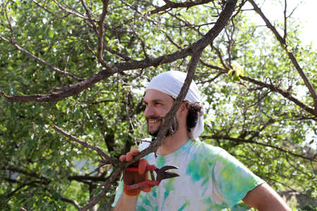 Trimming of trees with secateurs