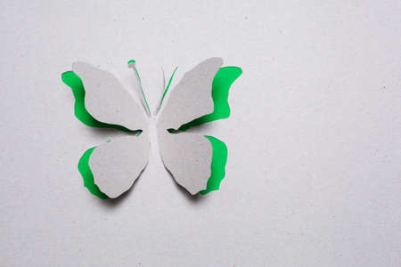 Image of abstract green butterfly handmade.Eco background.の写真素材