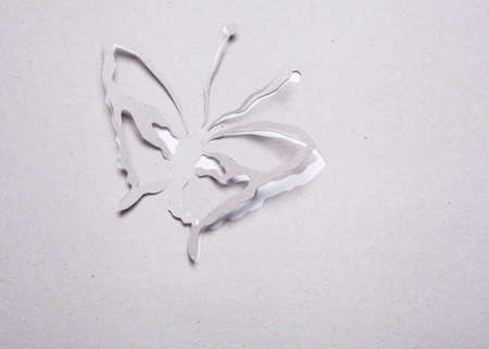 Image of abstract white butterfly handmade.Eco background.の写真素材
