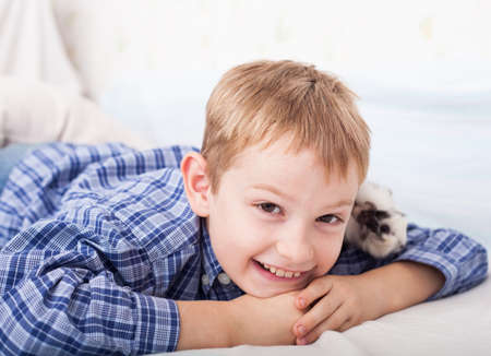 Young boy with guinea pigの写真素材