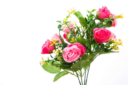 Beautiful flowers  on the white backgroundの写真素材