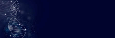 DNA molecule structure background.の写真素材