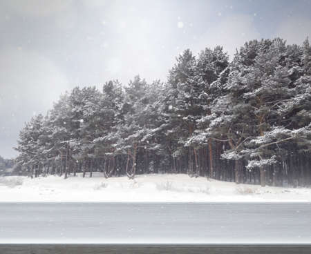 Winter blur backgroundの写真素材