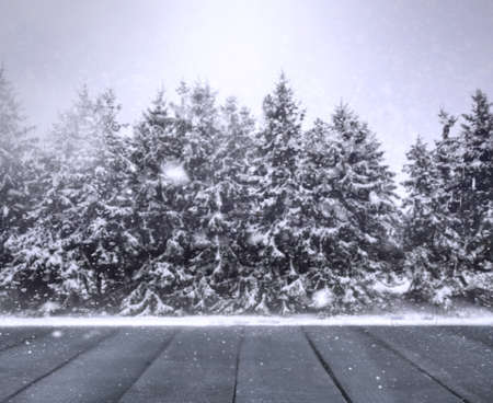 Winter blur backgroundの写真素材