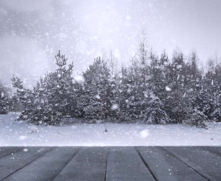 Winter blur backgroundの写真素材