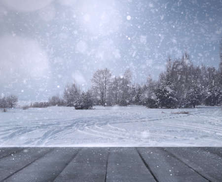 Winter blur backgroundの写真素材